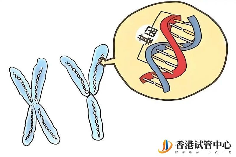 香港三代试管婴儿套餐