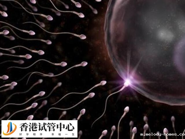 Y精子是携带男性染色体的精子